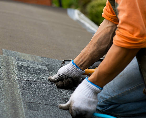 Best Commercial Roof Installation  in Laporte, CO
